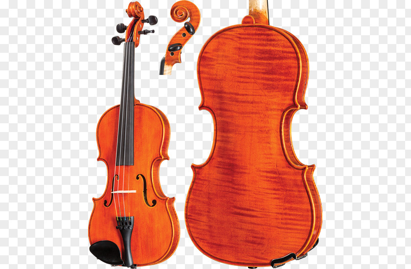 Violin Key Bass Viola Violone Cello PNG