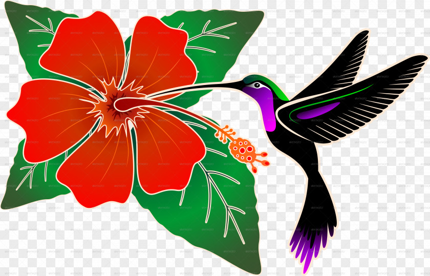 Batik Hummingbird Hibiscus Clip Art PNG