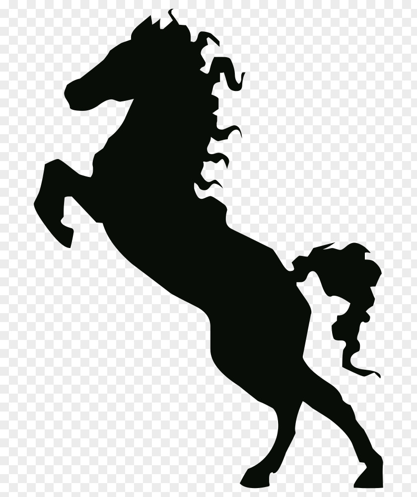 Mustang American Paint Horse Stallion Clip Art PNG
