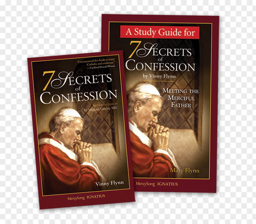 Book 7 Secrets Of Confession Mother Mercy Scriptural Rosary Catholicism Eucharist PNG