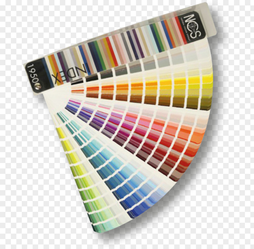 Paint Natural Color System Tints And Shades RAL Colour Standard PNG