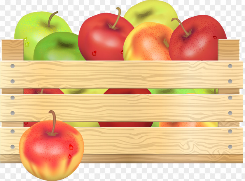 Vegetable Paper Fruit PNG