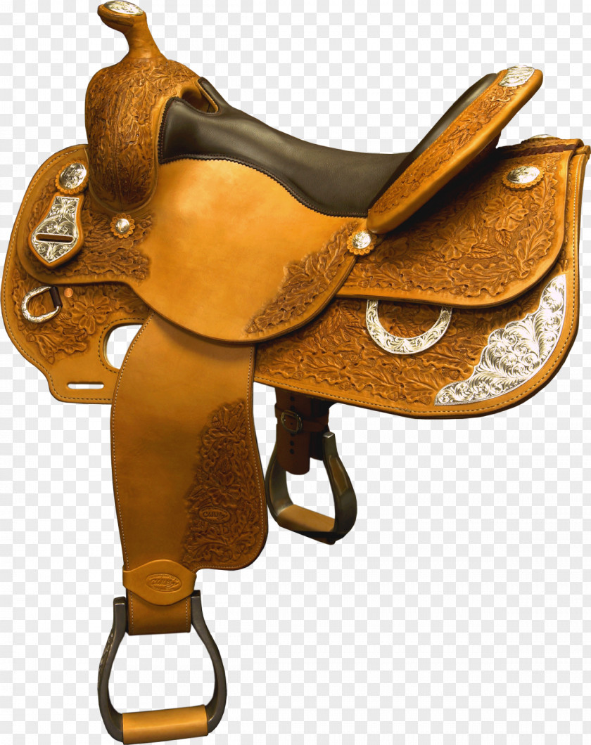 Barb Horse C W Wiley Custom Saddles Piping And Plumbing Fitting Driving Range Fee PNG