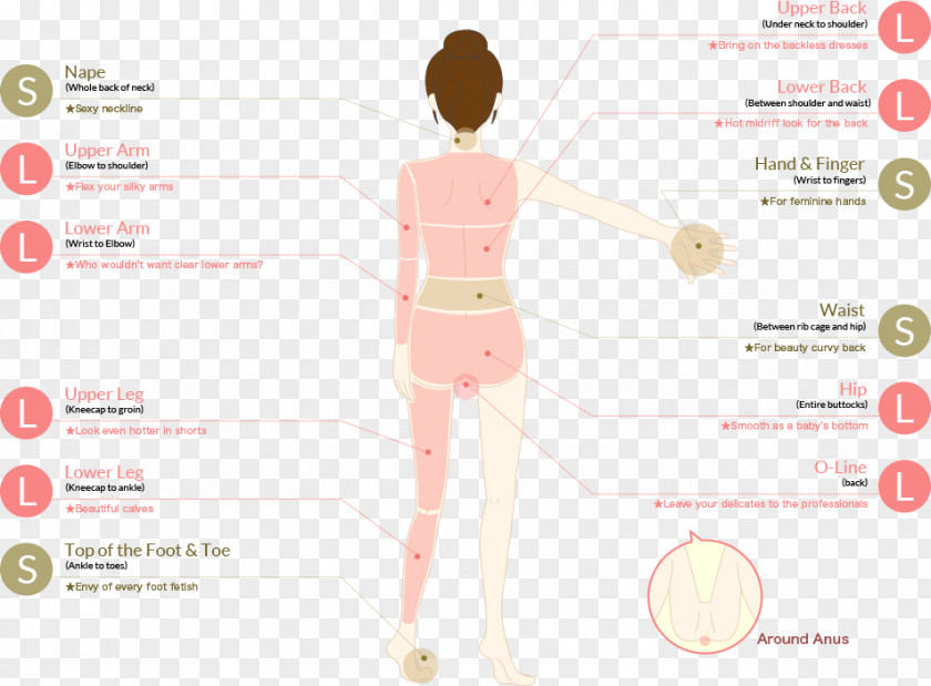 Hair Skin Laser Removal Human Body PNG