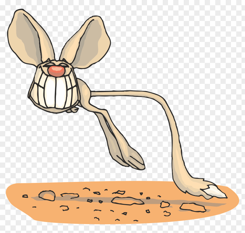 Jerboa Cat Map Clip Art PNG