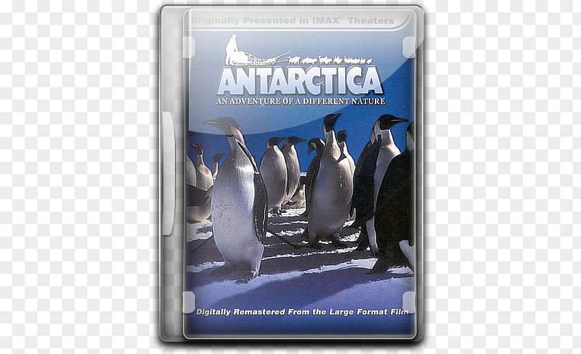 Penguin Antarctica Adventure Film PNG