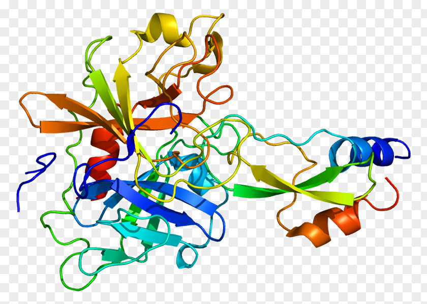 SPINT1 Chemical Reaction Enzyme Kunitz Domain Protease Inhibitor PNG