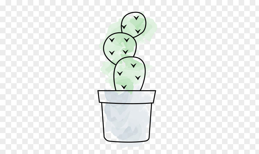 Cactus Cactaceae Flowerpot Plant PNG