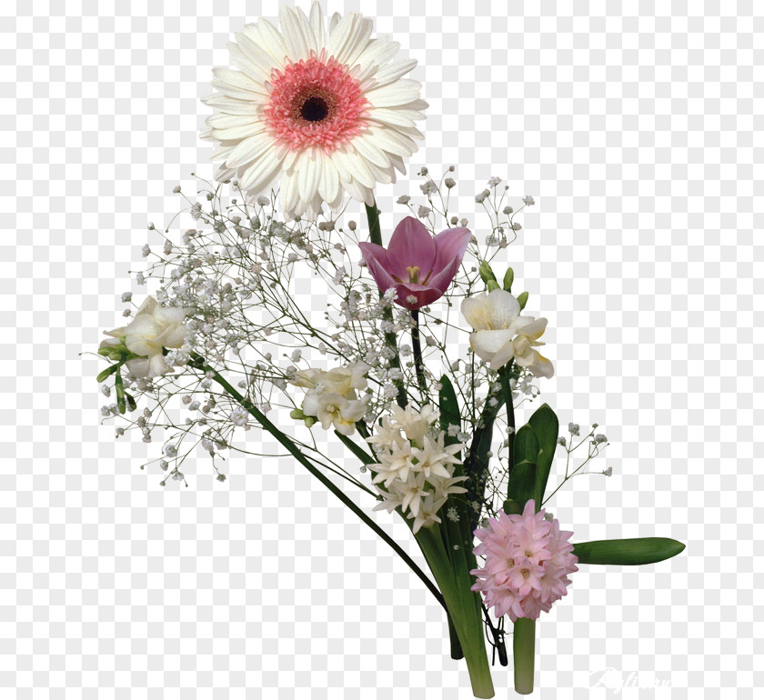 Chrysanthemum Floral Design Transvaal Daisy Cut Flowers PNG