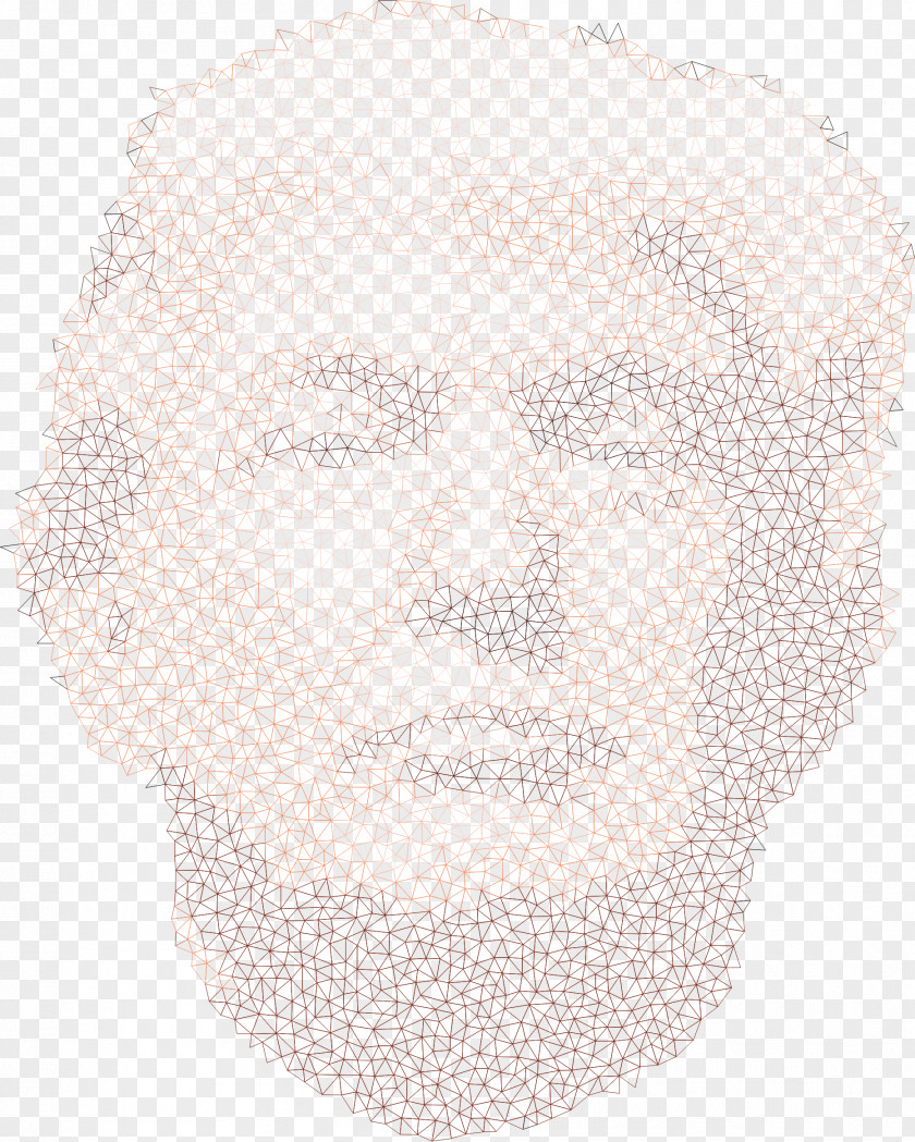 Face Low Poly Wire-frame Model PNG