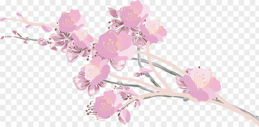 Ink Cherry Blossoms Blossom Computer File PNG