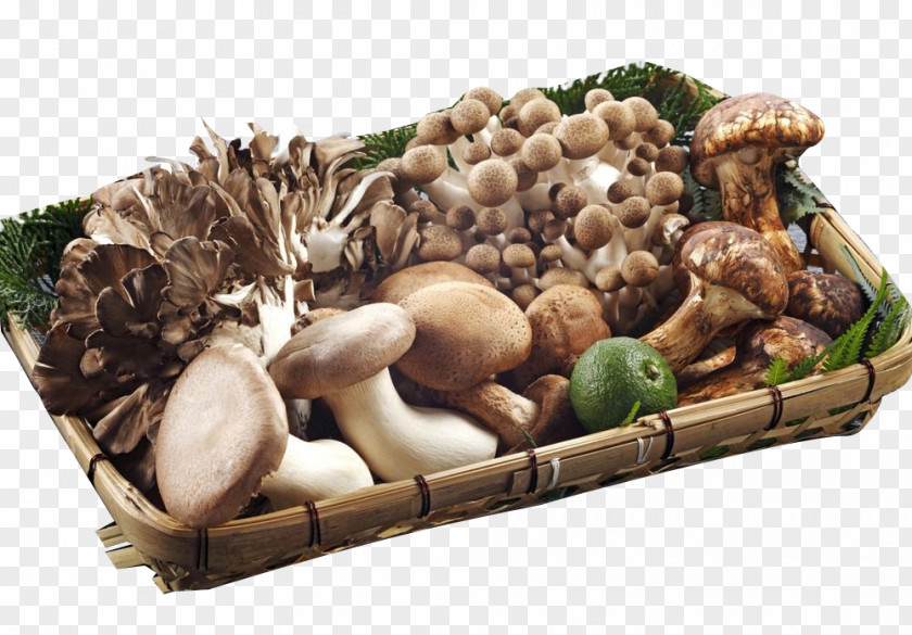 Mushroom Platter Physical Map Fungus Vegetable Food Shiitake PNG
