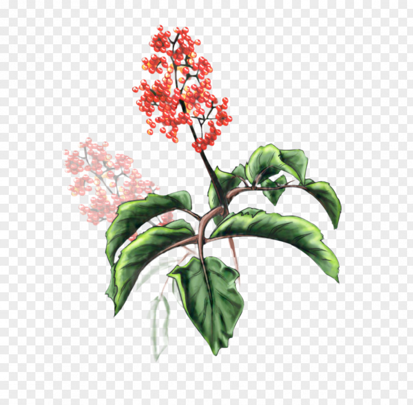 Plant Plants Lilac Flower PNG