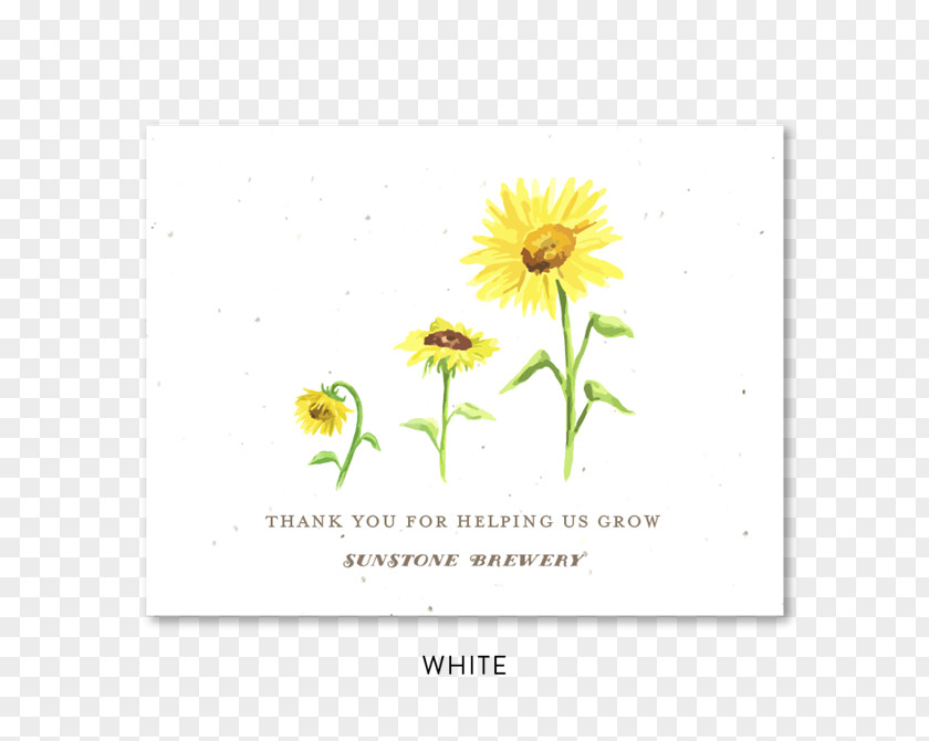 Autumn Invitation Card Mushroom Watercolor Common Sunflower Seed Paper Wedding PNG