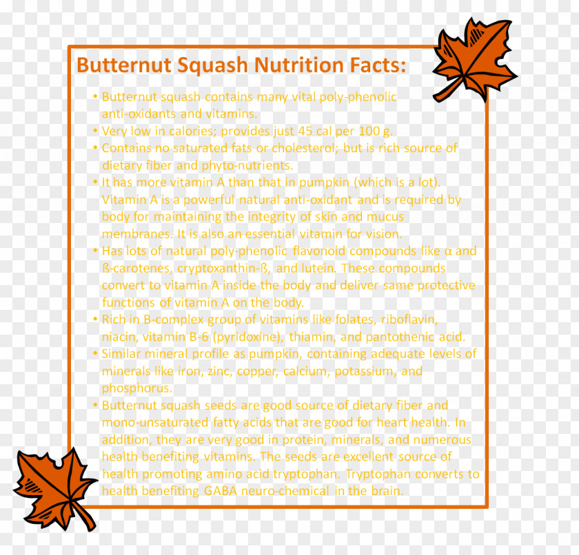 Butternut Squash Line Point Document Tree PNG