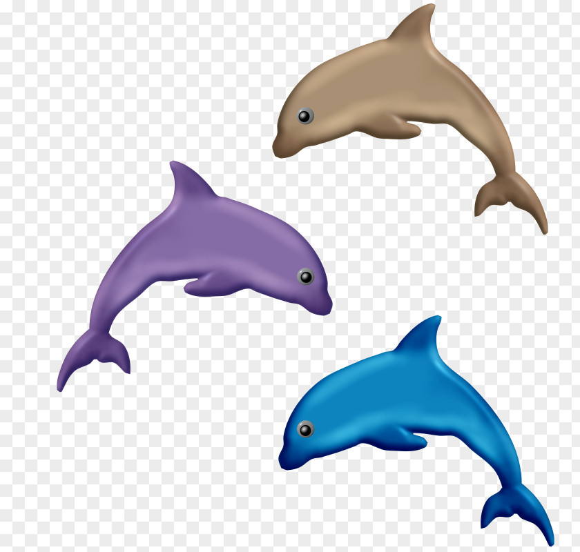 Dolphin Common Bottlenose Wholphin Tucuxi Short-beaked PNG