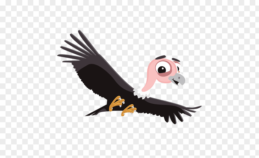 Cartoons Vector Turkey Vulture Clip Art PNG