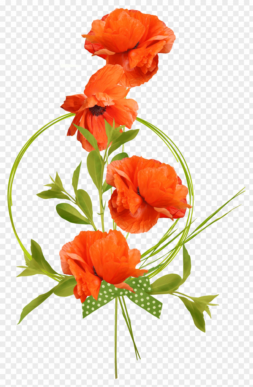 Flower Poppy Graphic Designer PNG