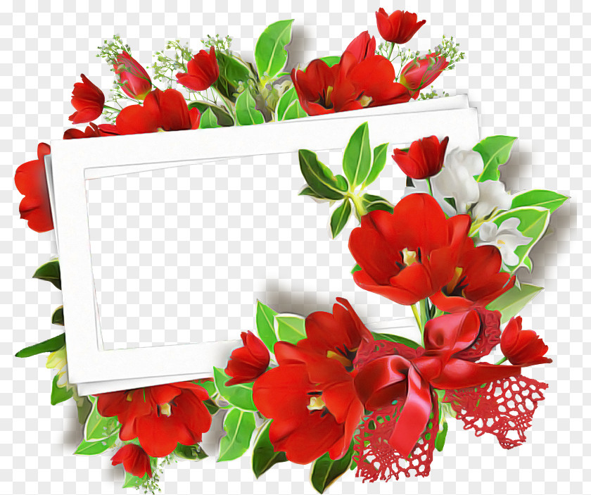 Flower Red Plant Cut Flowers Petal PNG