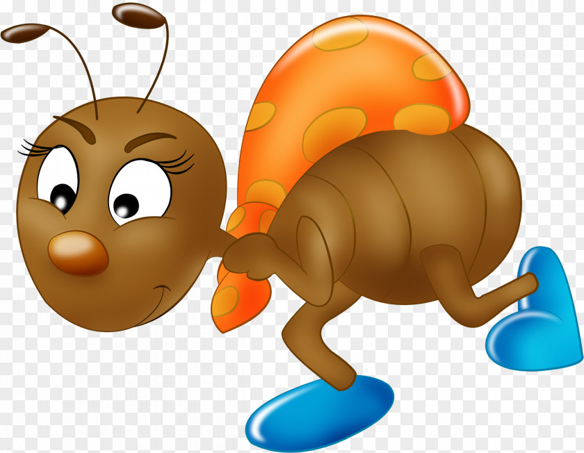 Insect Drawing Image Clip Art PNG