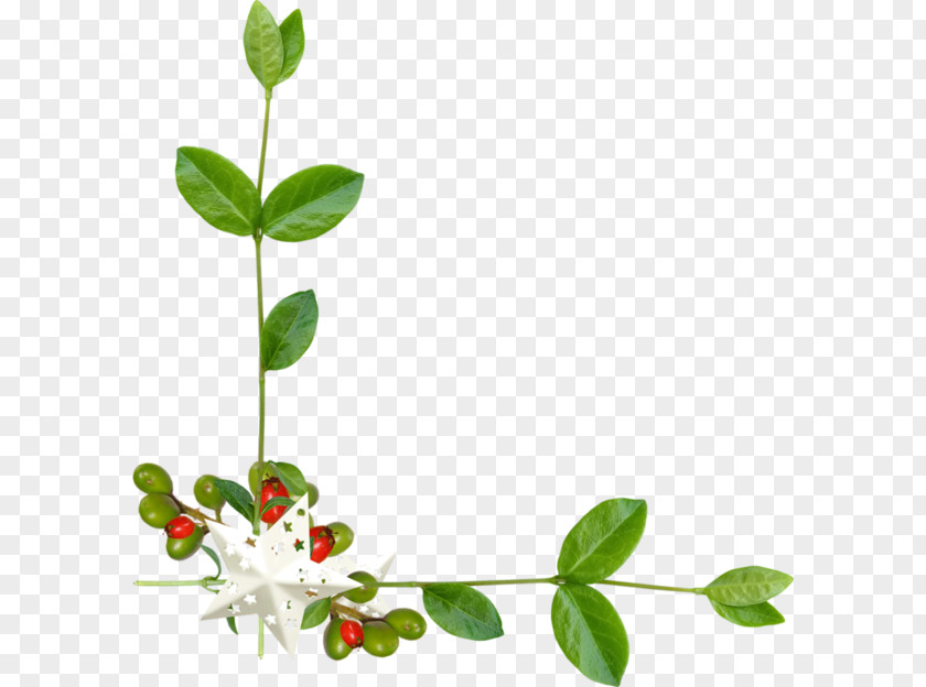 Kenar Curb Flower Clip Art PNG