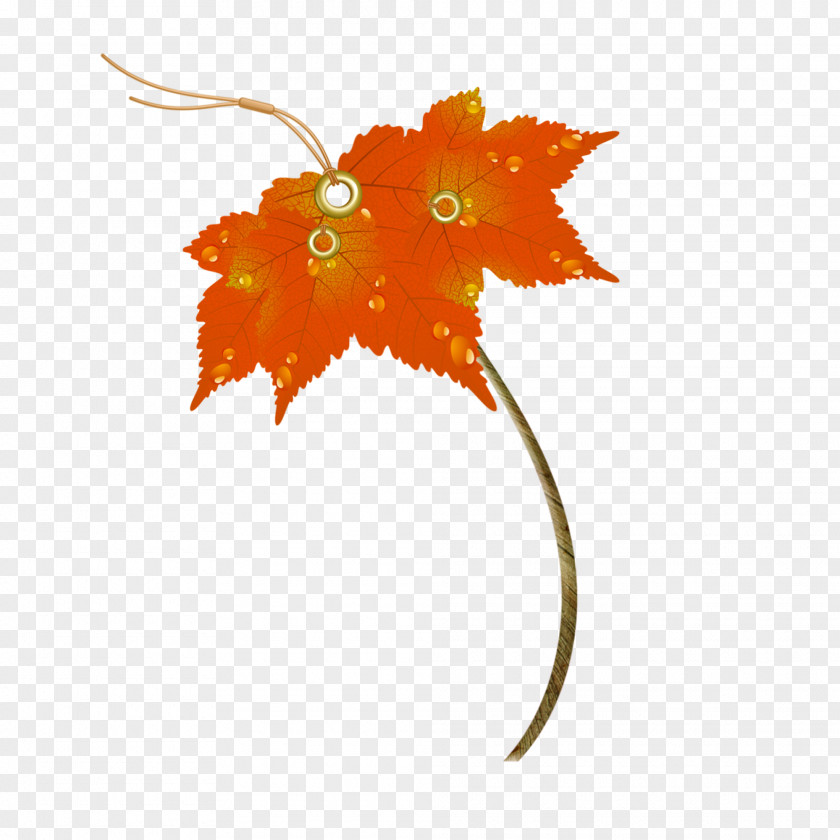 Leaf Maple Image Autumn Umbrella PNG