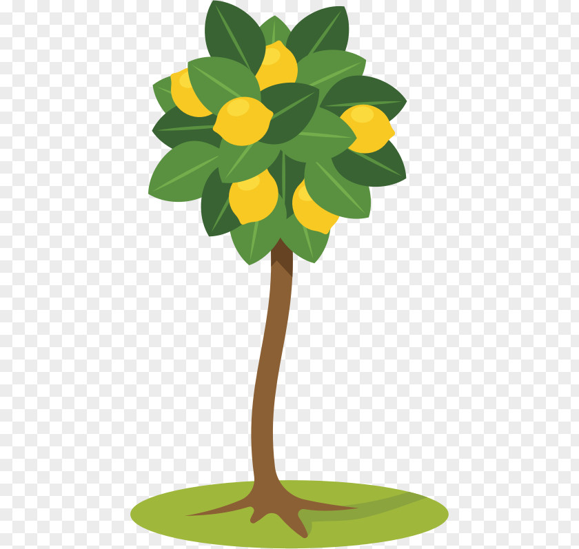 Lemon Tree Clip Art PNG