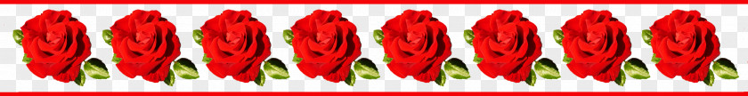 Red Roses Border Rose Pink Flowers Clip Art PNG