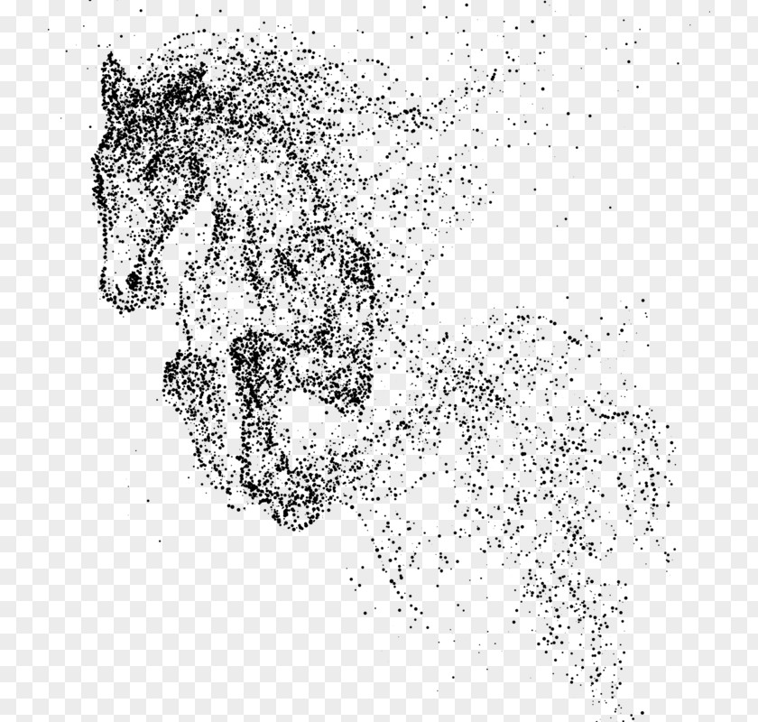 Sketch Of The Horse Clip Art PNG