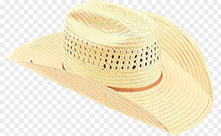 Sombrero Costume Accessory Sun PNG