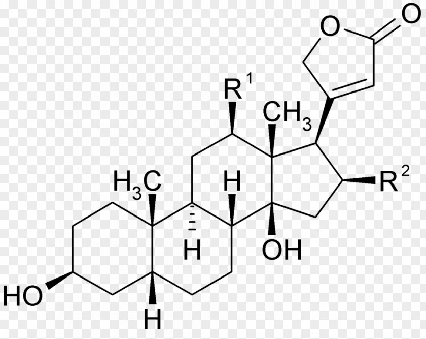 Foxglove The Great Testosterone Myth Estradiol Estrogen Hormone Structural Formula PNG