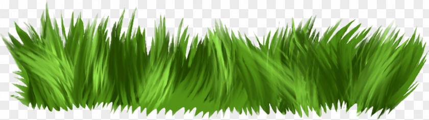 Green Grass Fence Clip Art PNG