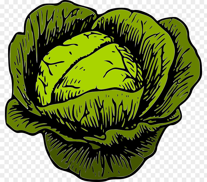 Vegetable Savoy Cabbage Leaf Clip Art PNG