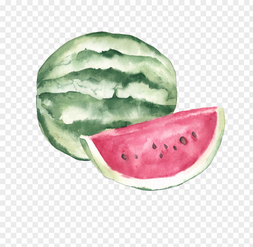 Watermelon Watercolor Painting Fruit Poster Illustration PNG