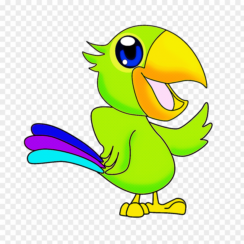 Bird Cartoon Beak Toucan Piciformes PNG