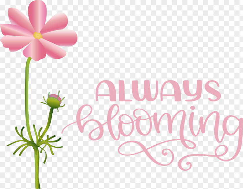 Floral Design PNG