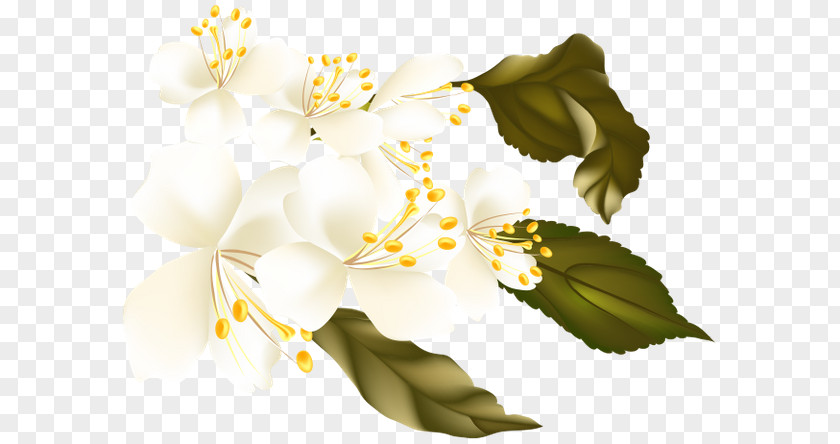 Flower Desktop Wallpaper Auglis Clip Art PNG