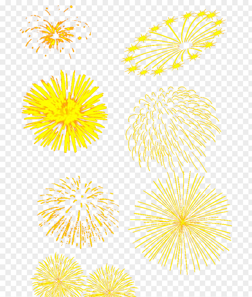 Golden Fireworks Set Floral Design Chrysanthemum Yellow Pattern PNG