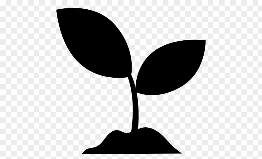 M Leaf Plant Stem Flower Clip Art Black & White PNG