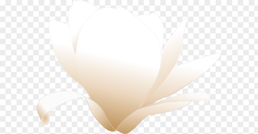 Magnolia Cliparts Download Clip Art PNG