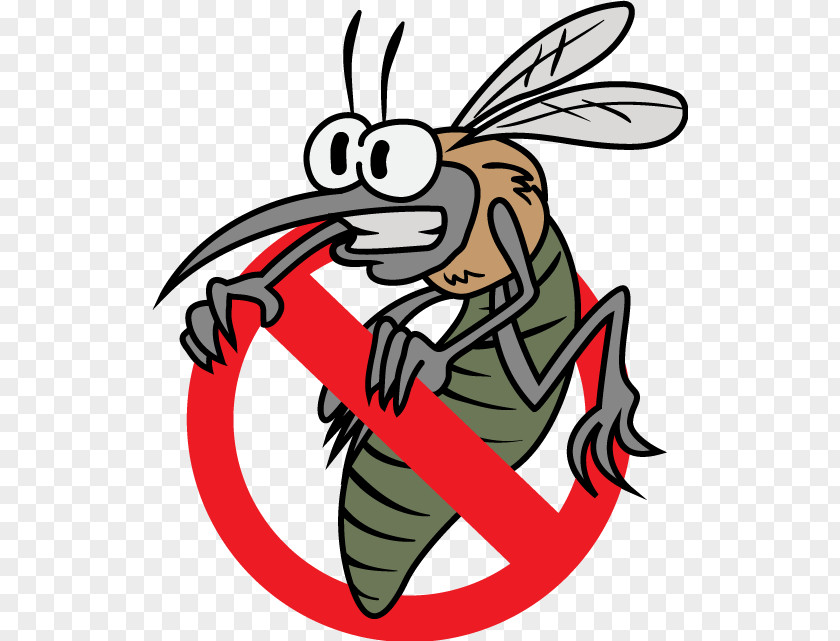 Mosquito Clip Art Illustration Disease PNG