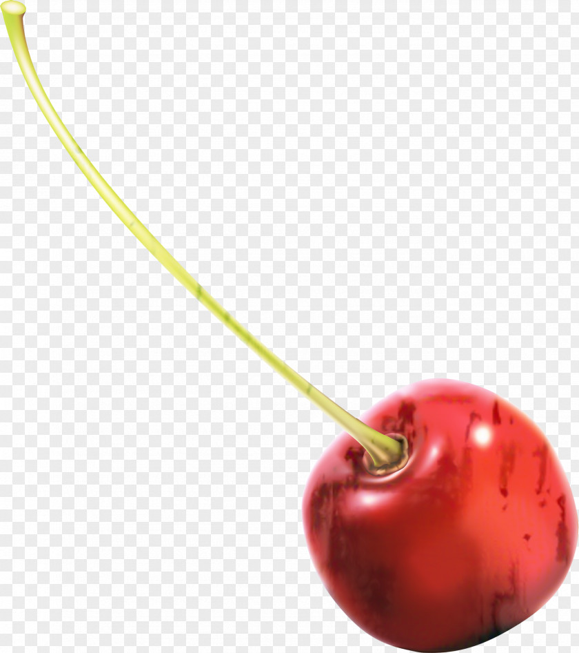 Necklace Drupe Body Jewellery Cherry PNG