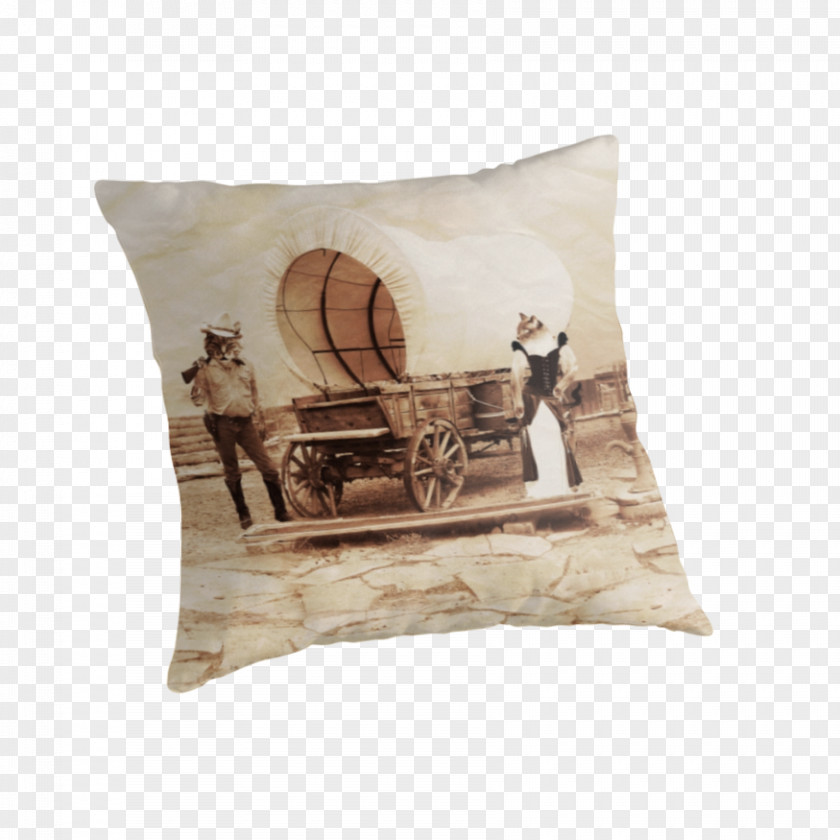 Pillow American Frontier Throw Pillows Cushion Cat PNG