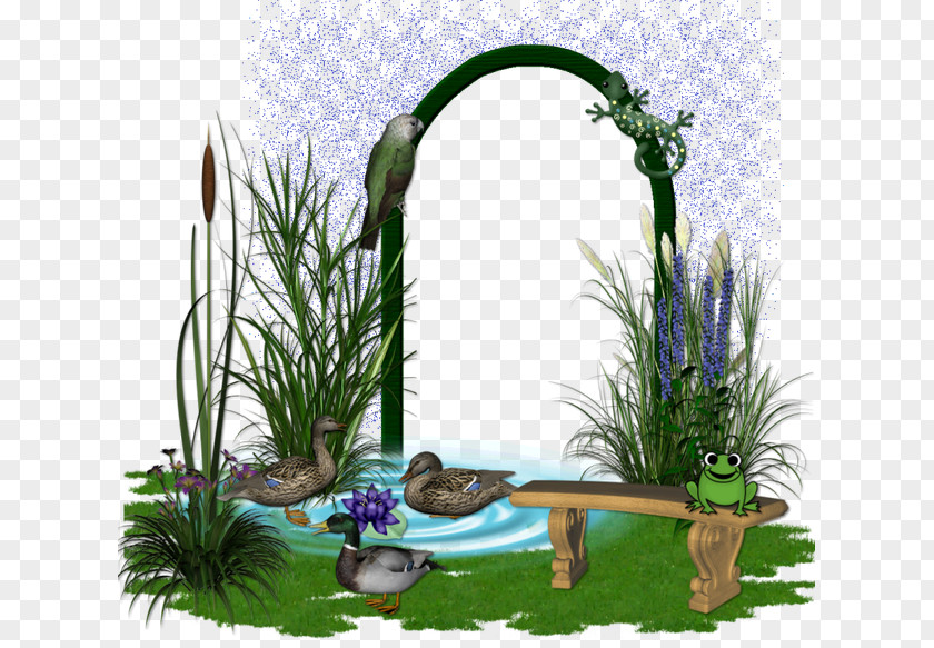 Rat Grasses Majorelle Garden Blue Floral Design PNG