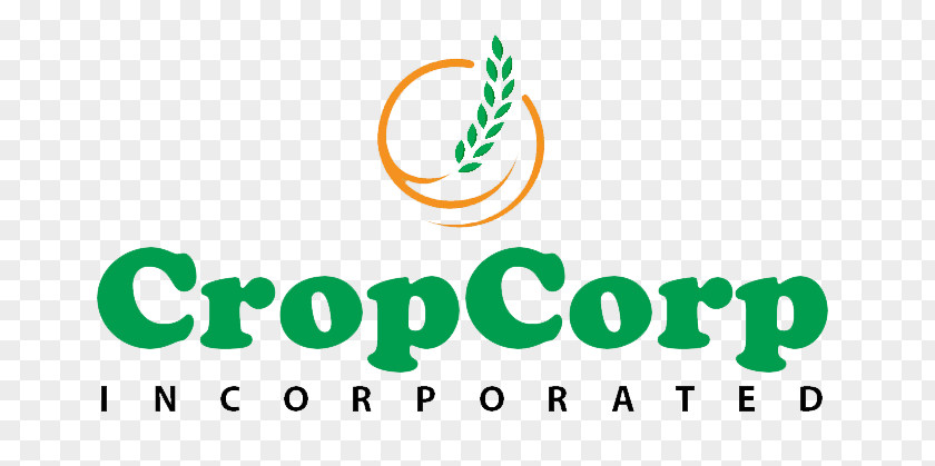 RICE CROP Investment Joint Stock Company Hung Thinh Real Estate Corporation Thủ Đức District Land Hưng Thịnh PNG