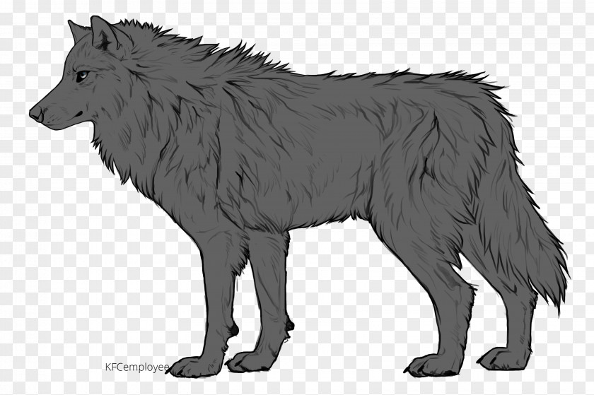 Wolf Fan Art Drawing Australian Shepherd DeviantArt PNG