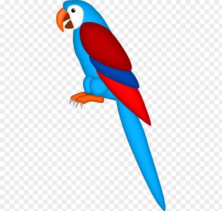 Bird Macaw Drawing True Parrot Clip Art PNG