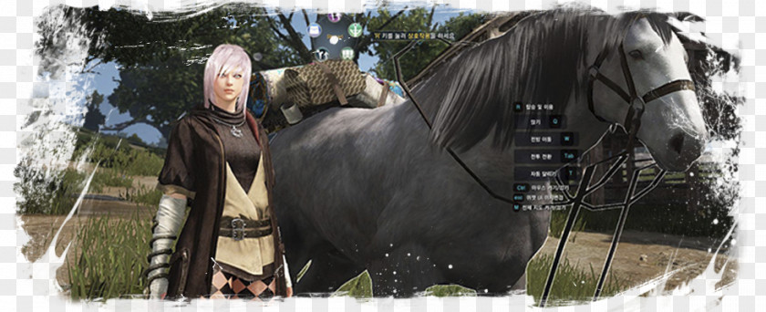 Black Desert Online Mane Mustang Stallion Rein Mare PNG