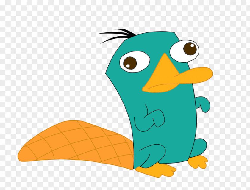 Cute Pictures Of Platypuses Perry The Platypus Ferb-2 Phineas Flynn Dr. Heinz Doofenshmirtz Candace PNG