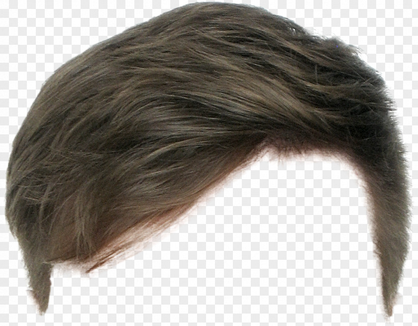 Hair Hairstyle Wig Long Beard PNG